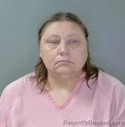 Mugshot of Irina N Timofeeva booked in Georgetown County, South Carolina on August 26, 2026