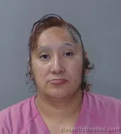Mugshot of Abelina Jacoba Sacalxot Estrada booked in Georgetown County, South Carolina on October 14, 2026
