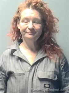 Mugshot of Anna Camille Bailey booked in Independence County, Arkansas on June 20, 2026