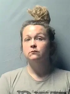 Mugshot of Anita MARIE MARTIN booked in Independence County, Arkansas on April 8, 2026