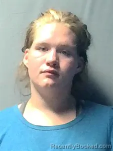 Mugshot of Bridgette Leighann Collins booked in Independence County, Arkansas on August 28, 2026