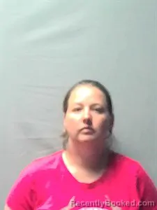 Mugshot of Cindy Rena Hill booked in Independence County, Arkansas on August 15, 2026