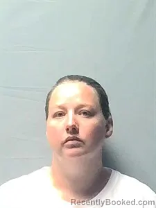 Mugshot of Cindy Rena Hill booked in Independence County, Arkansas on August 29, 2026