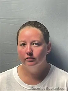 Mugshot of Cindy Rena Hill booked in Independence County, Arkansas on September 12, 2026