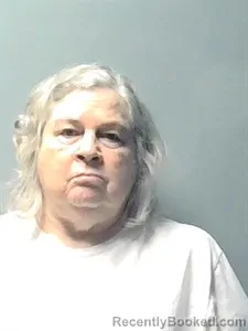 Mugshot of Donna Januchowski booked in Independence County, Arkansas on June 25, 2026