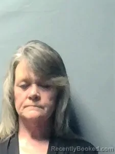 Mugshot of Dona Kay Shipman booked in Independence County, Arkansas on August 4, 2026