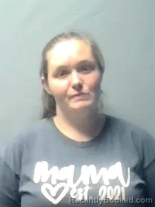 Mugshot of Destiny Renee Vannattan booked in Independence County, Arkansas on May 22, 2026