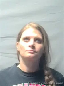 Mugshot of Heather Nicole Frank