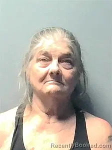 Mugshot of Joann Tims Trout booked in Independence County, Arkansas on June 27, 2026