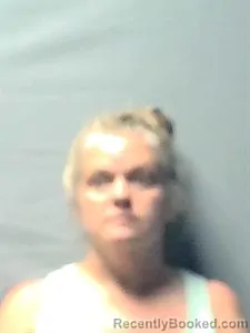 Mugshot of Jennifer Fetney Wilson booked in Independence County, Arkansas on August 15, 2026