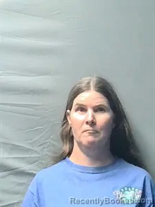 Booking photo from Independence County, Arkansas