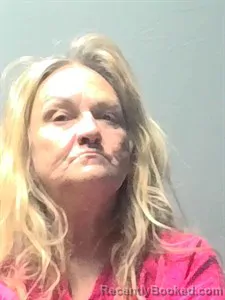 Booking photo from Independence County, Arkansas