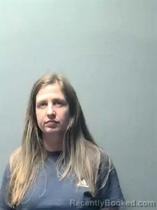 Mugshot of Mindy Dawn Garrison booked in Independence County, Arkansas on March 25, 2026