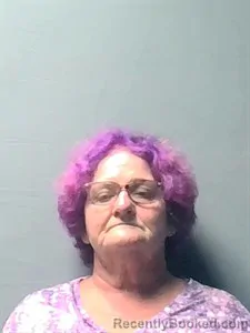 Mugshot of Mable Odelene Higgs booked in Independence County, Arkansas on July 14, 2026