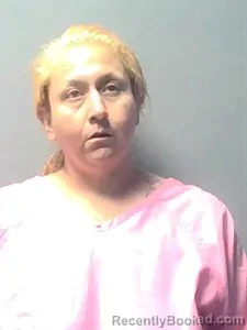 Mugshot of Precilla NICOLE RICHARDS booked in Independence County, Arkansas on May 22, 2026