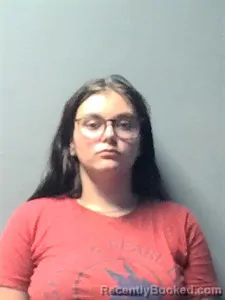 Mugshot of Sara Drummond booked in Independence County, Arkansas on September 11, 2026