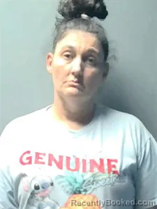 Mugshot of Saundra DEE JOHNSON booked in Independence County, Arkansas on May 11, 2026