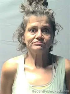Mugshot of Sarah Ann Ray booked in Independence County, Arkansas on August 21, 2026
