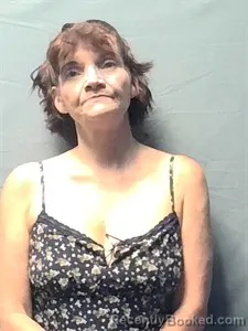 Mugshot of Tammy L Ramos booked in Independence County, Arkansas on September 11, 2026