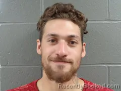 Booking photo from Izard County, Arkansas