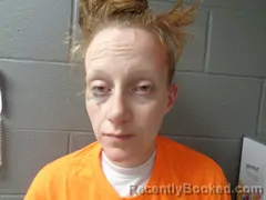 Mugshot of MELODY HOWELL