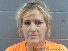 Mugshot of TAMMY ADAMS booked in Izard County, Arkansas on April 24, 2026