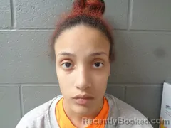 Mugshot of KRISTEN DESPRADEL booked in Izard County, Arkansas on April 24, 2026