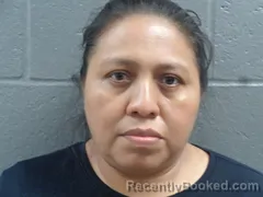 Mugshot of ANA SALAS booked in Izard County, Arkansas on May 17, 2026