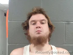 Mugshot of DYLAN ALBERSON booked in Izard County, Arkansas on May 25, 2026