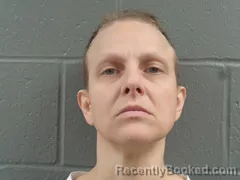 Mugshot of DELTA COLLINS booked in Izard County, Arkansas on May 26, 2026