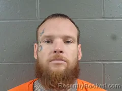 Mugshot of STEPHAN WHAPLES booked in Izard County, Arkansas on June 16, 2026