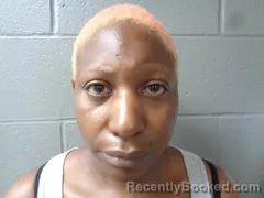 Mugshot of PATSY TYLER booked in Izard County, Arkansas on June 26, 2026