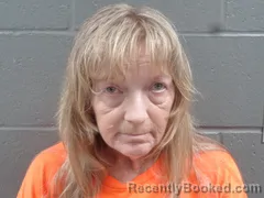 Mugshot of LISA MCCUMBER booked in Izard County, Arkansas on June 29, 2026