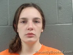 Mugshot of DEZERAY DANCER booked in Izard County, Arkansas on July 13, 2026