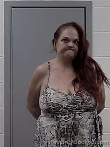 Mugshot of Amanda Brooks (Horner) booked in Jackson County, Arkansas on August 15, 2026
