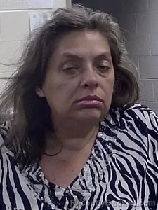 Mugshot of LESLIE L HUNTER booked in Jackson County, Arkansas on July 24, 2026