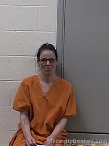 Mugshot of DOROTHY PAIGE JOHNSON booked in Jackson County, Arkansas on April 29, 2026