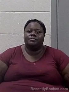 Mugshot of Jessica Maria Sheppard booked in Jackson County, Arkansas on September 1, 2026