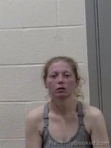 Mugshot of CARRIE TUMEY booked in Jackson County, Arkansas on June 4, 2026