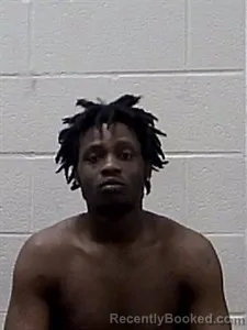 Mugshot of MICHAEL WEBSTER