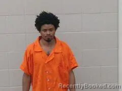 Mugshot of Michael Lee