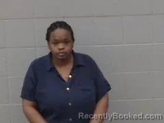 Mugshot of Alayna Terry