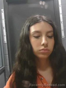 Mugshot of Whitney Anastacia Henson