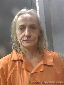 Mugshot of Brandy Shephard