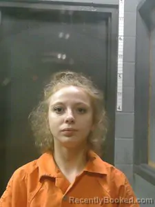 Mugshot of Heaven Boswell