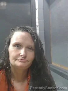 Booking photo from Johnson County, Arkansas