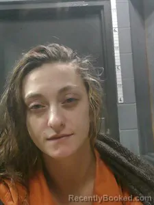 Booking photo from Johnson County, Arkansas