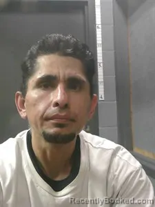 Booking photo from Johnson County, Arkansas