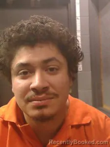 Booking photo from Johnson County, Arkansas