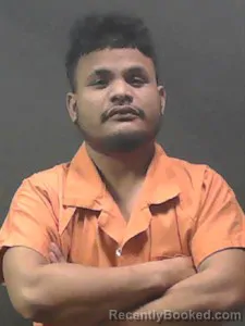 Booking photo from Johnson County, Arkansas